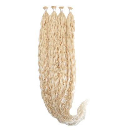 Bold Curls,