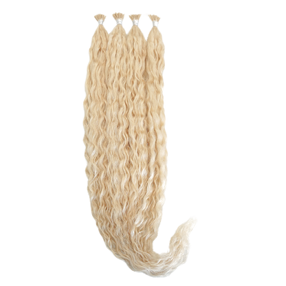 Bold Curls,