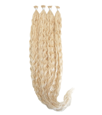 Bold Curls,